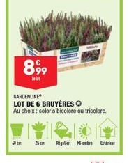 40 cm  89⁹9⁹9  Last  GARDENLINE  LOT DE 6 BRUYÈRES O  Au choix : coloris bicolore ou tricolore.  25cm  Regal  EE  oortre  Extr 