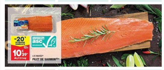 -20*  DE REMISE IMMEDIATE  121,  1099- 6173  AQUACUATU NESPONSABLE  asc  LOC MAREE FILET DE SAUMON 