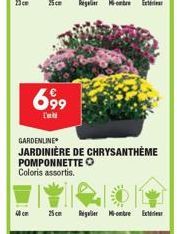 jardinière 