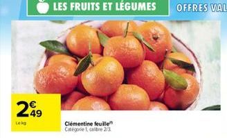 299  Lekg  LES FRUITS ET LÉGUMES  Clémentine feuille" Categorie 1, calibre 2/3 