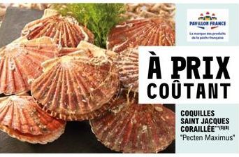 PAVILLON FRANCE La produs  À PRIX COÛTANT  COQUILLES SAINT JACQUES CORAILLÉE(S) "Pecten Maximus" 