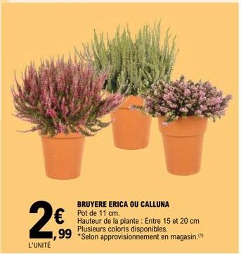 2€99  L'UNITÉ  BRUYERE ERICA OU CALLUNA Pot de 11 cm.  Hauteur de la plante: Entre 15 et 20 cm Plusieurs coloris  disponibles.  ,99 *Selon approvisionnement en magasin. 