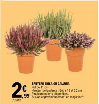 2€99  l'unité  bruyere erica ou calluna pot de 11 cm.  hauteur de la plante: entre 15 et 20 cm plusieurs coloris  disponibles.  ,99 *selon approvisionnement en magasin. 