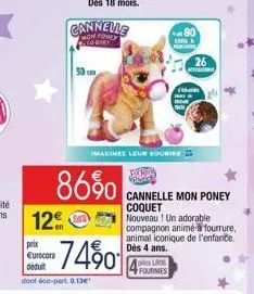 cannelle 3m