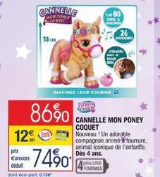 cannelle 3M