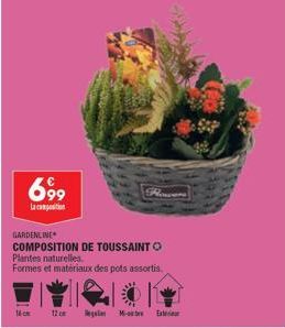 699  Lacation  GARDENLINE  COMPOSITION DE TOUSSAINT Plantes naturelles.  Formes et matériaux des pots assortis  12 cm  Rower  