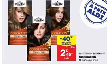 soldes Palette