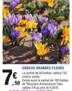 7€  crocus grandes fleurs  le sachet de 50 bulbes, calibre 7/8,  € coloris variés.  existe aussi le sachet de 100 bulbes 
