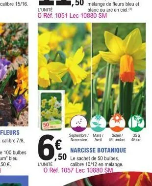 6€  septembre mars/ soleil/ novembre avril mi-ombre  narcisse botanique ,50 le sachet de 50 bulbes,  l'unité calibre 10/12 en mélange. o réf. 1057 lec 10880 sm  35 à 45 cm 