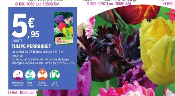 € ,95  25  L'UNITÉ  TULIPE PERROQUET  Le sachet de 25 bulbes, calibre 11/12 en  mélange.  Existe aussi le sachet de 50 bulbes de tulipe  Triomphe variées calibre 10/11 au prix de 2,75 €.  Septembre / 