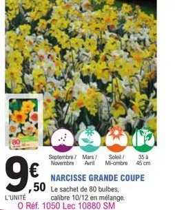 9€0  l'unité  35 à  septembre / mars/ soleil/ novembre avril mi-ombre 45cm  narcisse grande coupe ,50 le sachet de 80 bulbes,  calibre 10/12 en mélange. o réf. 1050 lec 10880 sm 