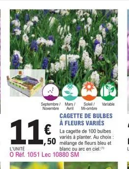 septembre / mars/ soleil/ variable novembre avril mi-ombre  11€  cagette de bulbes à fleurs variés € la cagette de 100 bulbes  1,50  l'unité  variés à planter. au choix : mélange de fleurs bleu et bla