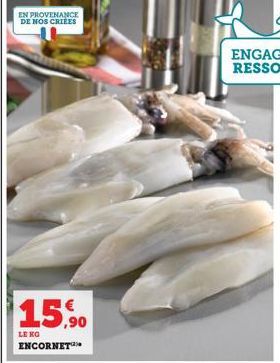 EN PROVENANCE  DE NOS CRITES  15,90  LE KG ENCORNET 