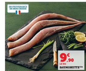 EN PROVENANCE DE NOS CRIÉES  9,90  LENG  SAUMONETTE 