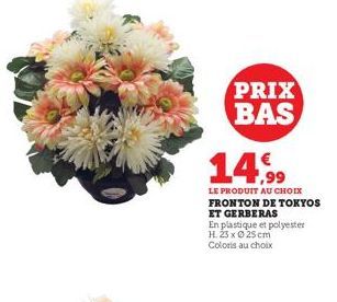 PRIX BAS 14,99  LE PRODUIT AU CHOIX  FRONTON DE TOKYOS ET GERBERAS  En plastique et polyester H. 23 x 25 cm Coloris au choix 