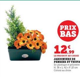 PRIX BAS  12,99  LE PRODUIT AU CHOIX JARDINIERE DE PENSEES ET THUYA En plastique et polyester H. 38 x L 42 x P. 25 cm Coloris au choix 