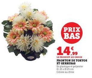 PRIX BAS 14,99  LE PRODUIT AU CHOIX  FRONTON DE TOKYOS ET GERBERAS  En plastique et polyester H. 23 x 25 cm Coloris au choix 