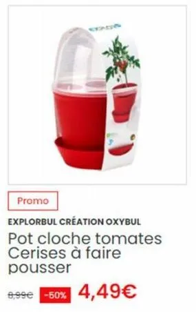 promo  explorbul création oxybul pot cloche tomates cerises à faire pousser  9,99€ -50% 4,49€ 