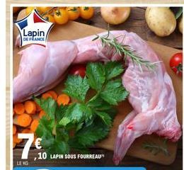 lapin 