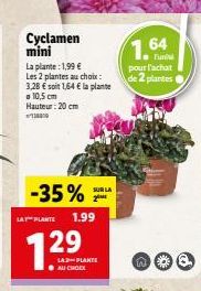 Cyclamen mini  La plante: 1,99 € Les 2 plantes au choix:  3,28 € soit 1,64 € la plante  10,5 cm Hauteur: 20 cm  -35%  LA PLANTE 1.99  7.29  SUR LA 2  LAD-PLANTE AU CHOC  1.64  pour l'achat de 2 plante