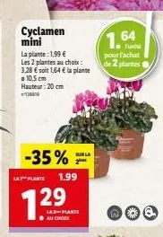 cyclamen mini  la plante: 1,99 € les 2 plantes au choix:  3,28 € soit 1,64 € la plante  10,5 cm hauteur: 20 cm  -35%  la plante 1.99  7.29  sur la 2  lad-plante au choc  1.64  pour l'achat de 2 plante