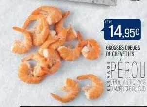 queues de crevettes 