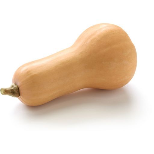 BUTTERNUT