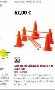 LOT DE 10 CÔNES À TROUS +5 JALONS REF: AC800  Kit d'entrainement comprenant 10 cônes à 12 trous de 40 cm de haut et 5 jalons d'une longueur de 1 m. Existe en 4 coloris 
