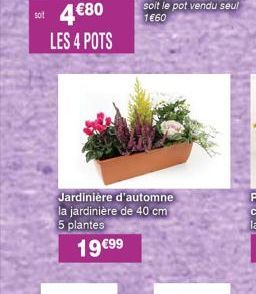 LES 4 POTS  Jardinière d'automne la jardinière de 40 cm 5 plantes  19€99 