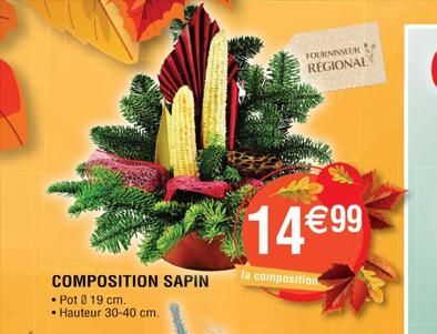COMPOSITION SAPIN  • Pot 0 19 cm. • Hauteur 30-40 cm.  FOURNISSEUR  REGIONAL  14€99  la composition  