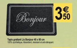 Tapis grattant Lis Bonjour 40 x 60 cm 100% synthétique. Absorbant, résistant et anti-dérapant 