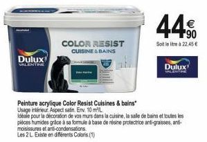 peinture acrylique Dulux