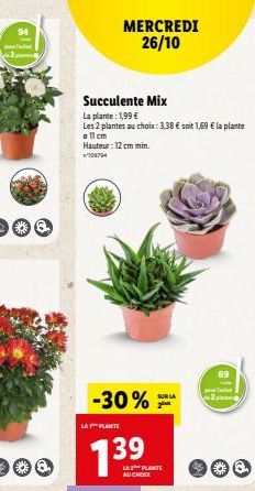 plantes 