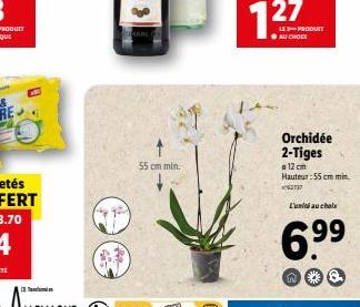 55 cm min.  LE PRODUIT AU CHOIX  Orchidée 2-Tiges  12 cm Hauteur:55 cm min  62737  L'unité au chole  6.9⁹9⁹ 