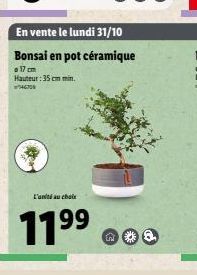 L'ant au choix  11⁹9⁹  99  En vente le lundi 31/10  Bonsai en pot céramique  o 17 cm Hauteur: 35 cm min. 46708 