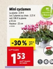 Mini cyclamen  La plante: 2,19 €  Les 2 plantes au choix: 3,72 € soit 1,86 € la plante  12 cm Hauteur : 22 cm 2014  -30%  LA PLANTE  SUR LA  LA PLANTE AU CHOIX  86  putat 2  