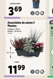 L'unité au choix  369  30-40 cm  Association de saison 5 Plantes  Longueur: 40 cm Hauteur: 30-40 cm  L'alti  11⁹⁹  99  900  400 