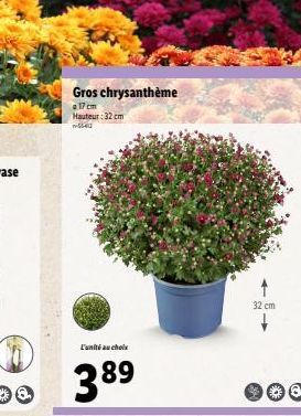 Gros chrysanthème  a 17 cm  Hauteur: 32 cm  S540  L'unité au choix  389  32 cm 