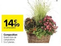 14.99  €  la composition  composition grand choix de compositions 5 à 7 plantes. 