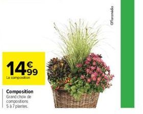 14.99  €  La composition  Composition Grand choix de compositions 5 à 7 plantes.  CFloramida 