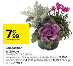 19⁹  La composition  Composition extérieure  Diamètre 20 cm, 3 plantes.  Existe aussien d'autres modèles: 4 plantes 23 cm à 12,99 € jardinière 30 cm à 14,99 € jardinière 40 cm à 16,99 € et coupe 30 cm