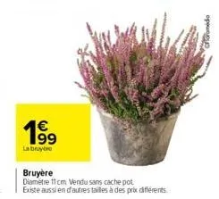 €  1⁹9  labruye  bruyère  diametre 11 cm vendu sans cache pot existe aussi en d'autres tailles à des prix différents. 