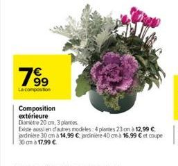 19⁹  La composition  Composition extérieure  Diamètre 20 cm, 3 plantes.  Existe aussien d'autres modèles: 4 plantes 23 cm à 12,99 € jardinière 30 cm à 14,99 € jardinière 40 cm à 16,99 € et coupe 30 cm