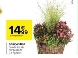 14.99  €  la composition  composition grand choix de compositions  5 à 7 plantes. 