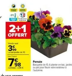 -se  2+1  offert  vendu seul  399  la barquette de 10 les 3 pour  198  l'unite): 2.66 €  pensée  barquette de 10. a planter en bac, jardinière ou pot pour fleurir votre extérieur à l'automne 