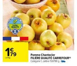 calibre Carrefour