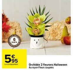 jours  95  La composition  Orchidée 2 fleurons Halloween Aurayon Fleurs coupées 