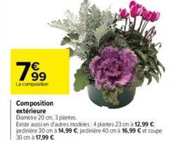 19⁹  La composition  Composition extérieure  Diamètre 20 cm, 3 plantes.  Existe aussien d'autres modèles: 4 plantes 23 cm à 12,99 € jardinière 30 cm à 14,99 € jardinière 40 cm à 16,99 € et coupe 30 cm