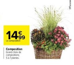 14.99  €  La composition  Composition Grand choix de compositions 5 à 7 plantes. 