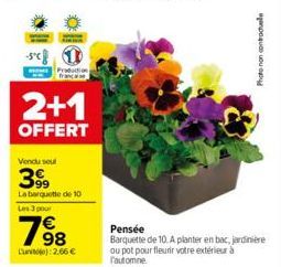 -sc  fuction  2+1  OFFERT  Vendu soul  399  La barquette de 10 Les 3 pour  768  Lunit): 2.66 €  Photo non controle  Pensée  Barquette de 10. A planter en bac, jardinière ou pot pour fleurir votre exté